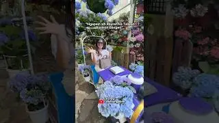 TAIWAN NGEBOSENIN?!🤔 