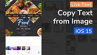 How to Copy Texts from Photos in iPhone using Live Text [iOS15]