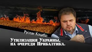 Утилизация Украины на очереди Прибалтика. Руслан Коцаба