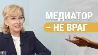 Можно ли остановить судопроизводство для проведения процедуры медиации?