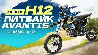 Лучший питбайк 2024?