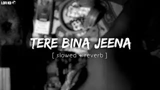 Tere Bina Jeena Saza Ho Gya (Slowed + Reverb) Tushar Arora | Lofi KD | Ginni...