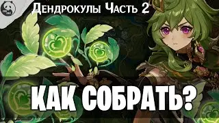 ВСЕ ДЕНДРОКУЛЫ - ЧАСТЬ 2 | СБОР ДЕНДРОКУЛОВ | МЕСТОПОЛОЖЕНИЕ ВСЕХ ДЕНДРОКУЛОВ | Genshin impact 3.0