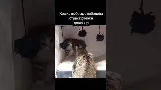 Любовь творит чудеса. Любите себя