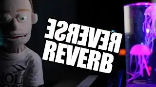 Ableton Tutorial: Reverb Reverse Effect