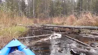 Одиночный поход со сплавом. р.Шапша (Карелия). Часть 1.