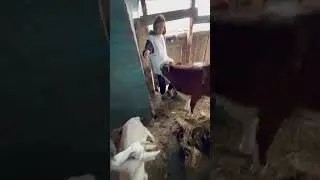 Клининговая служба по деревенский😂