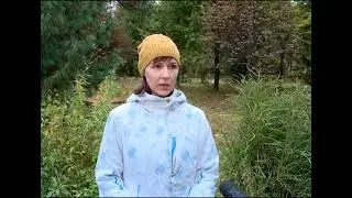 Коряжемскую кедровую рощу  пополнили
