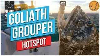Kaiji No Ri: Giant / Goliath Grouper HOTSPOT | Fishing Planet