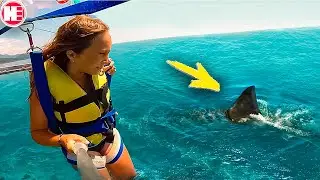 15 Incredible Moments Taken with Camera!
