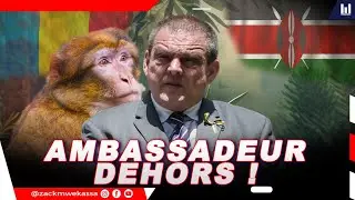 AMBASSADEUR DE LA ROUMANIE EXPULSÉ DU KENYA POUR AVOIR.. | E.p 