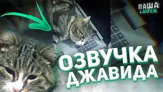 ПУШИСТЫЙ МОРДА - ОЗВУЧКА ДЖАВИДА ▪ СОЗДАЛ ТИК ТОК
