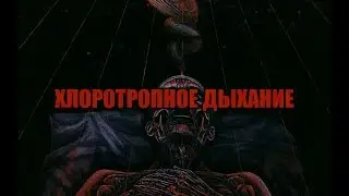 ХОЛОТРОПНОЕ ДЫХАНИЕ [СОННЫЙ ПАРАЛИЧ, ОСОЗНАННЫЕ СНОВИДЕНИЯ]