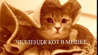 Челлендж КОТ В МЕШКЕ Май 2024