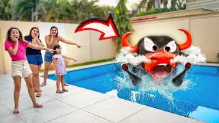 BOI BOI BOI DA CARA PRETA na PISCINA