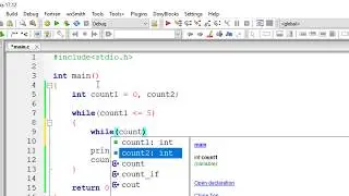 Nested While Loop: C Program