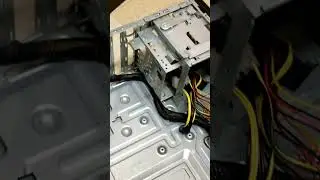 Dumpster Diving Adventures!