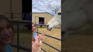 Horse Girls Vs Equestrians! 🐴 