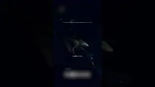 Meeting A Shark For The First Time In Voidtrain