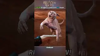 Lae'zel struggles to understand cat owners - Baldur's Gate 3