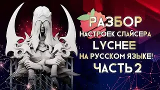 Lychee слайсер   Разбор настроек на русском языке часть 2