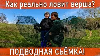 Как на самом деле ловит раколовка зонтик? / рыбалка