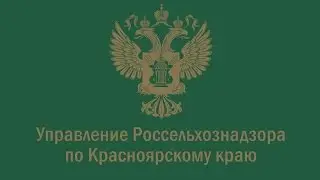 ПУБЛИЧНЫЕ ОБСУЖДЕНИЯ РЕЗУЛЬТАТОВ ПРАВОПРИМЕНИТЕЛЬНОЙ ПРАКТИКИ