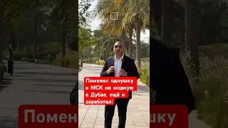Как ПОМЕНЯТЬ Москву на БРЕНДОВУЮ КВАРТИРУ в Дубае (с бассейном)