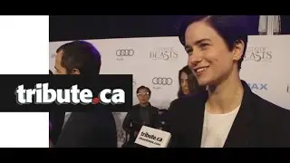 EXCLUSIVE: Katherine Waterston - Fantastic Beasts and Where To Find Them, Red Carpet Interview