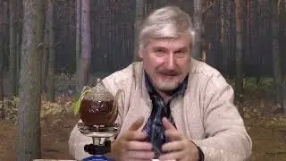 С. Савельев  Если спариваться каждый день