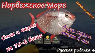 Норвежское море-клев отличный! 75-я банка порадовала редкими видами! 