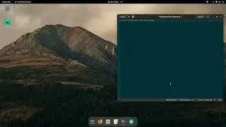 Ettercap ARP poisoning(Linux)