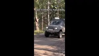 Еду кормить Кабанов!) 