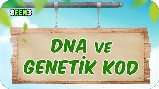 DNA ve Genetik Kod 🧬 tonguçCUP 1.Sezon - 8FEN3 