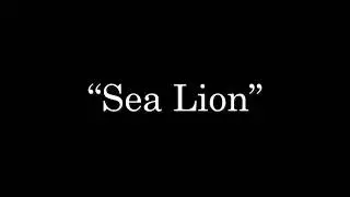 Sea Lion