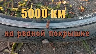 Невероятные приключения покрышки Vera City Wide 700x28