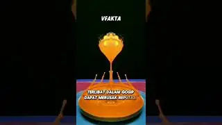 Dampak negatif bergaul dg orang yg suka gosip‼️