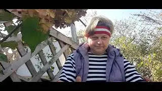 Живу в деревне.  Изменения за лето
