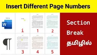 MS Office Word | How to Insert Different Page Numbers | Section Break | தமிழில் | MuralitharanLeo