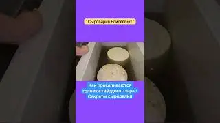 Как просаливаются головки твёрдого сыра / Секреты сыроделия / 