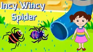 Incy Wincy Spider | Incy Wincy Spider Poem | Nursery Rhymes | Kids Song | Incy Wincy Spider for Kids