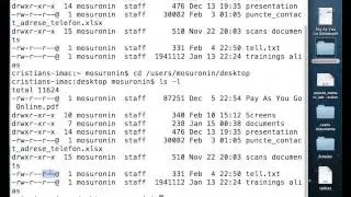 MAC OS X File System Permissions II