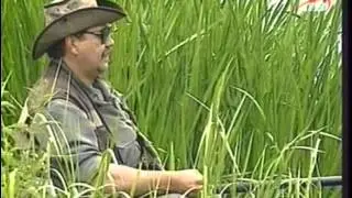 Диалоги о рыбалке. Выпуск 22: Лещ, глухая оснастка
