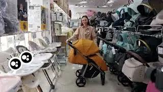 Прогулочная коляска CARELLO BRAVO PLUS 2022