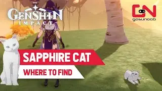 Sapphire White Cat Location in Genshin Impact