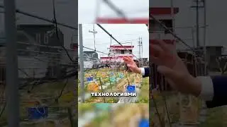 САМЫЙ БОГАТЫЙ УЗБЕК В РОССИИ 😳💰