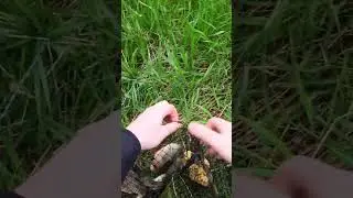 Вот этот УЛОВ!!! Поверяю верши. Первая рыбалка весной.