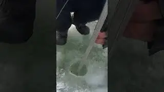 рыбалка! плотва в косынку! косынка кормушка! 