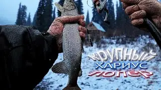 КРУПНЫЙ ХАРИУС на УДОЧКУ!!! +18| Утренний кофе| Рыбалка| Сто грамм под сугудай| Быт| Готовим вместе