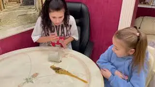 Сёстры!Защитила сестру?Для чего она это сделала.....